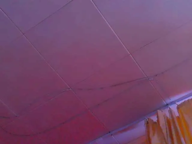 Mifika-1 model from BongaCams