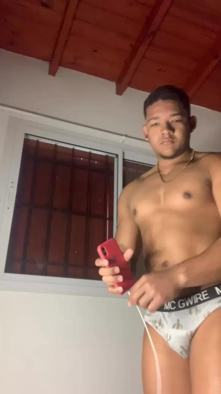 Caballerozodi