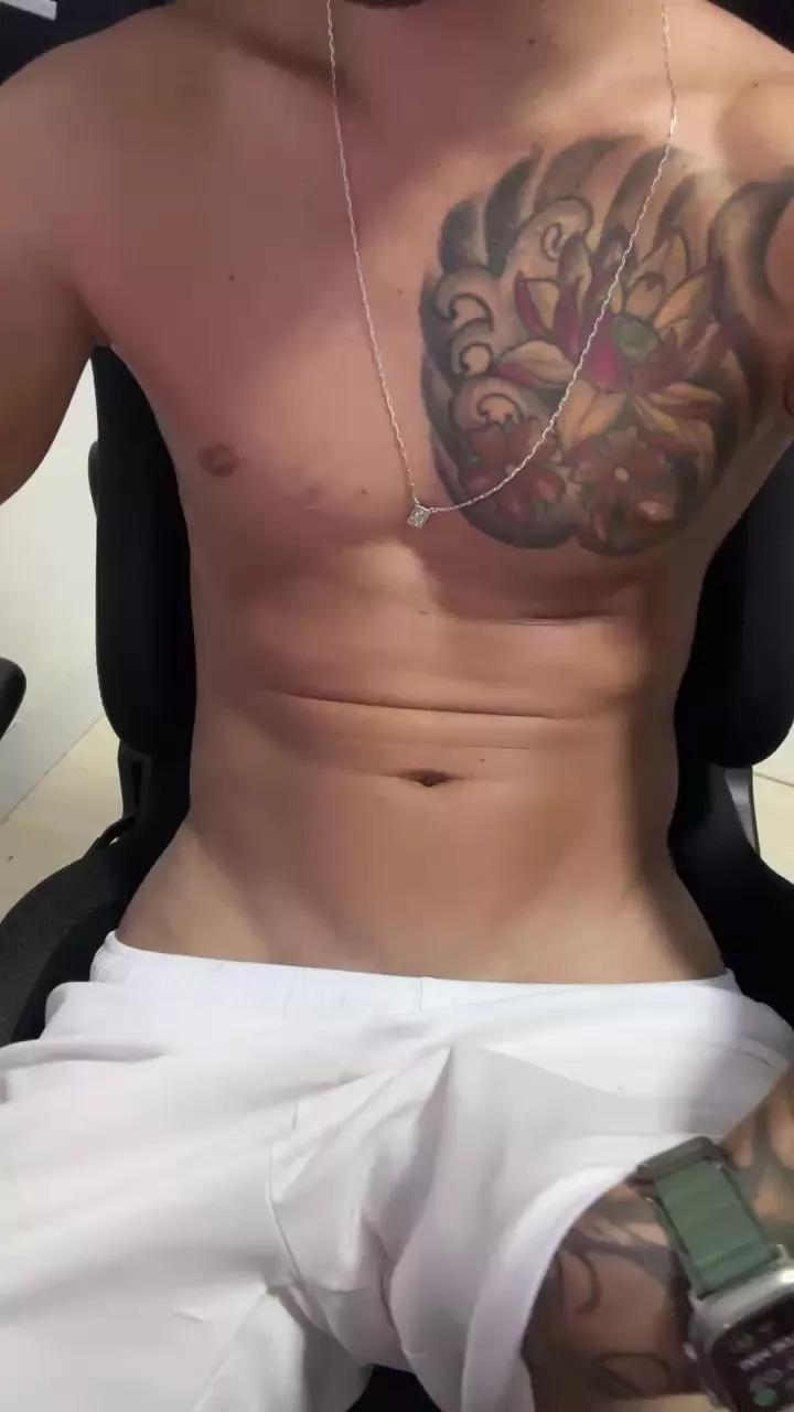 gato_dtado