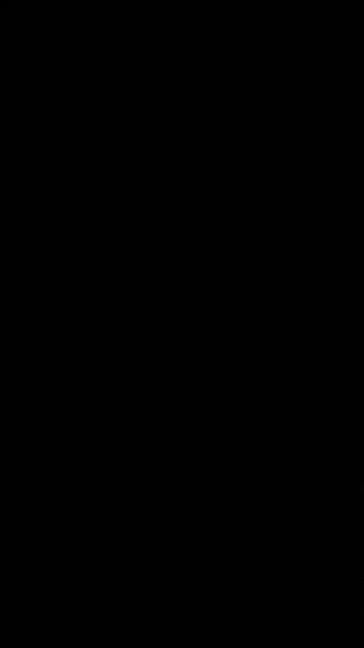 gato_dtado