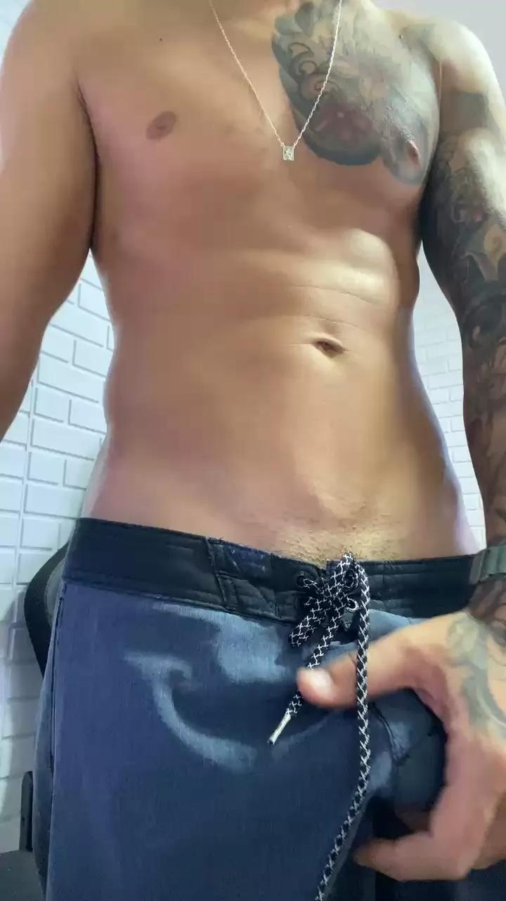 gato_dtado