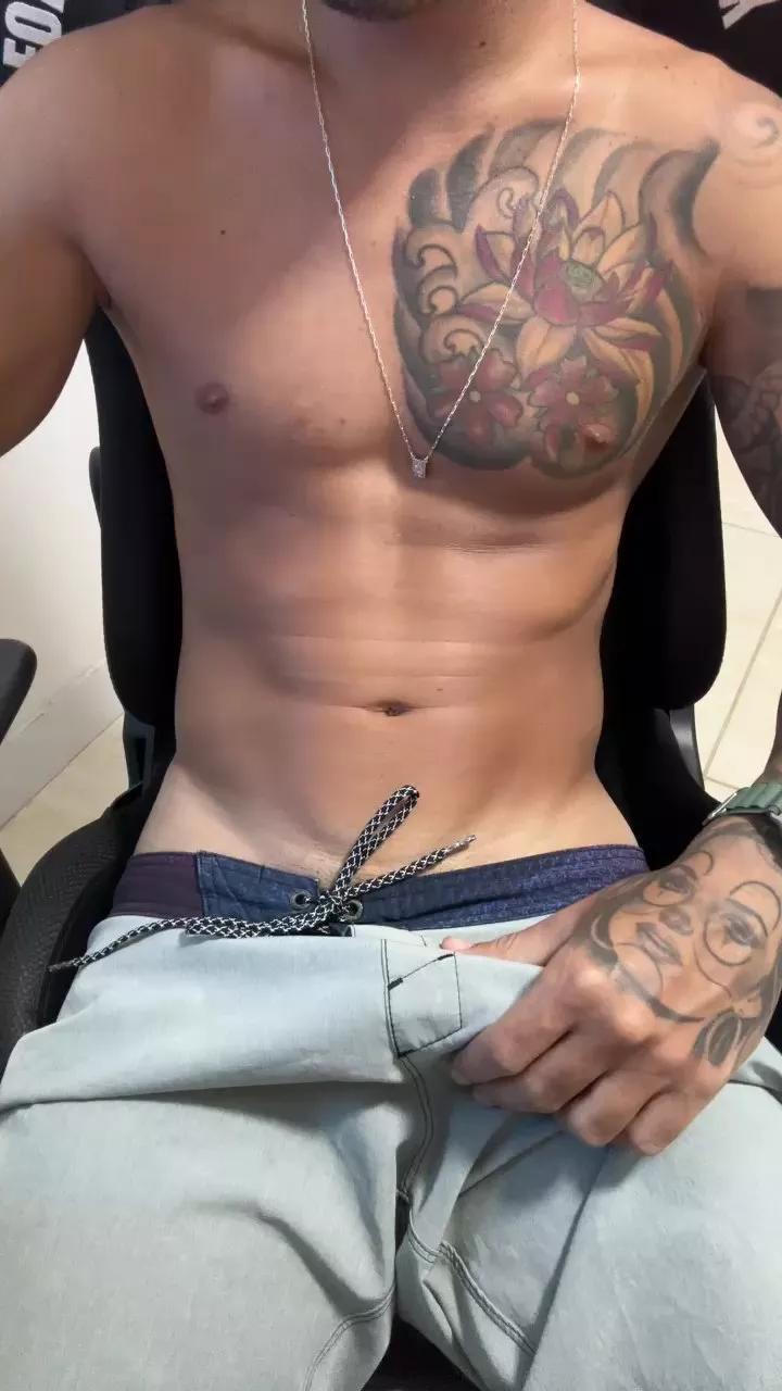 gato_dtado