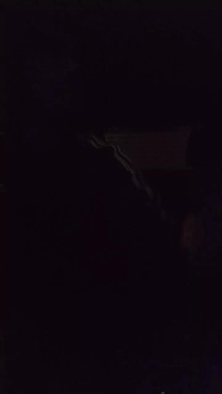 Jaaviier69