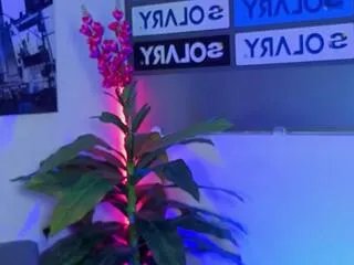 cristal_lux — Freechat on Flirt4Free