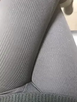 civciv77cc model from sc