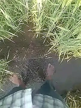 Desi_boy_fuck's avatar