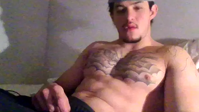 df240 model from StripChat