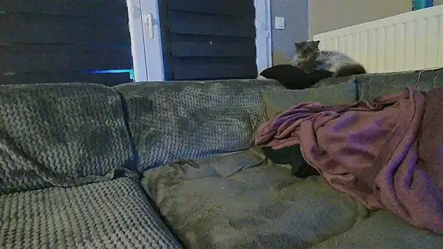 Girlysensuelle's avatar