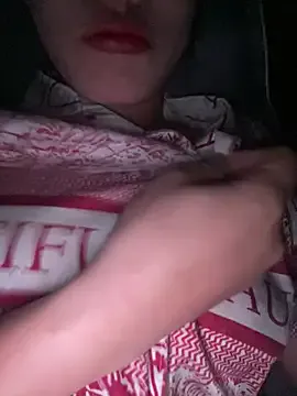 Mong2005 model from sc