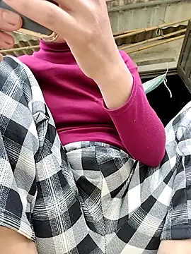 Tin_tanny model from sc